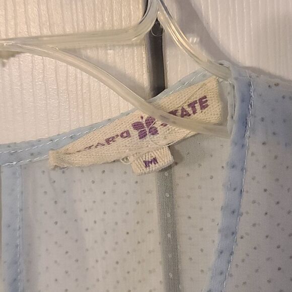 Altar'd State sheer dress   - Picture 5 of 12